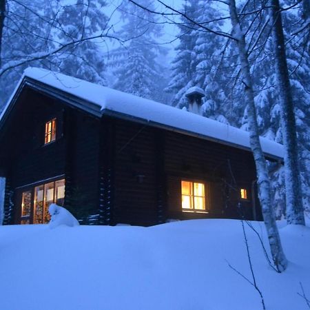 Villa Ferienhütte Hochalm Lunz am See Exterior foto