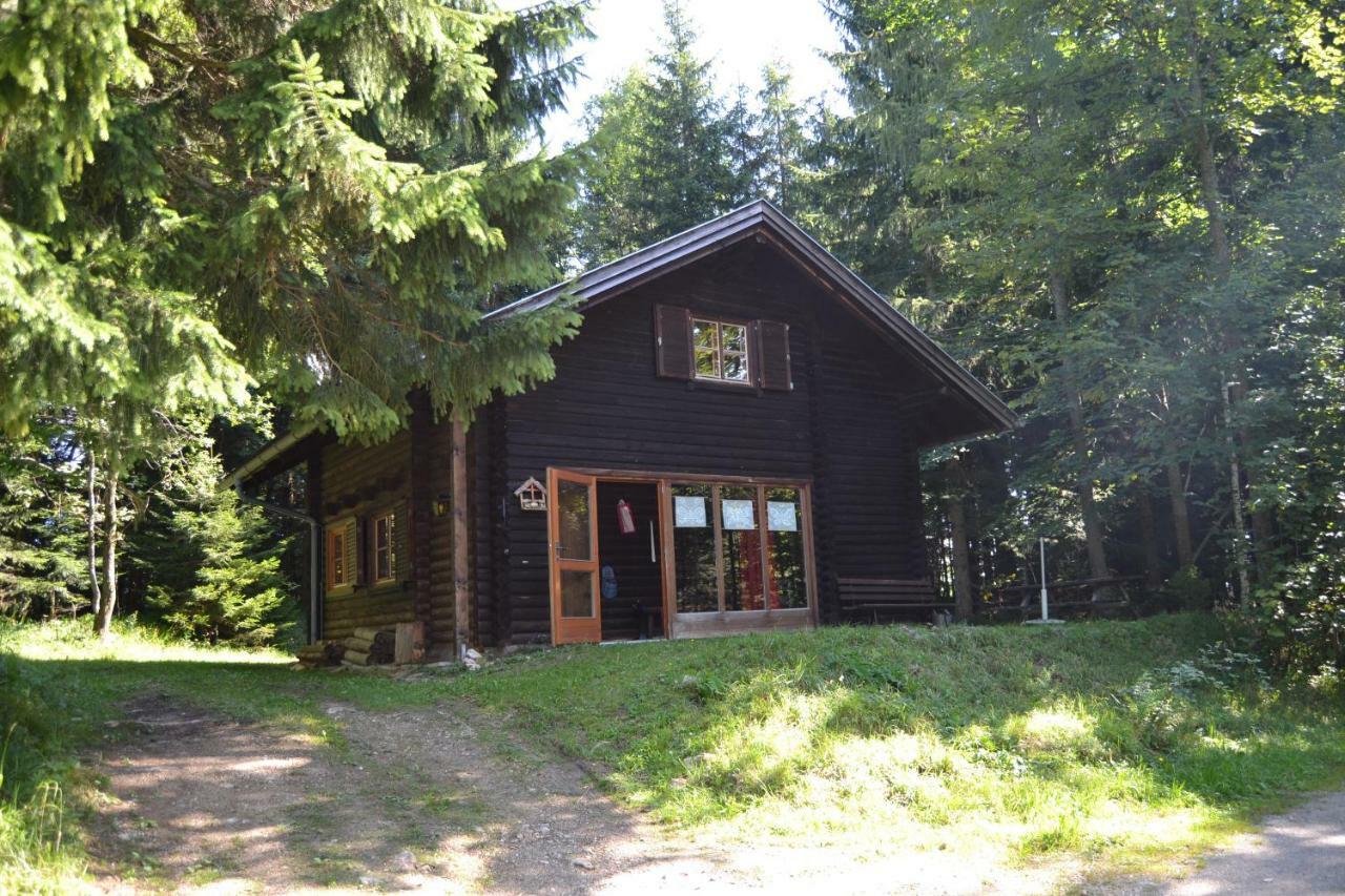 Villa Ferienhütte Hochalm Lunz am See Exterior foto