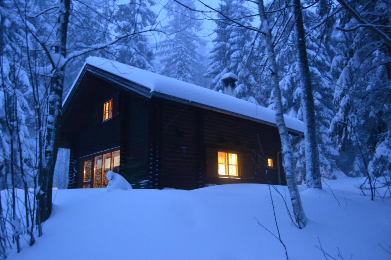 Villa Ferienhütte Hochalm Lunz am See Exterior foto