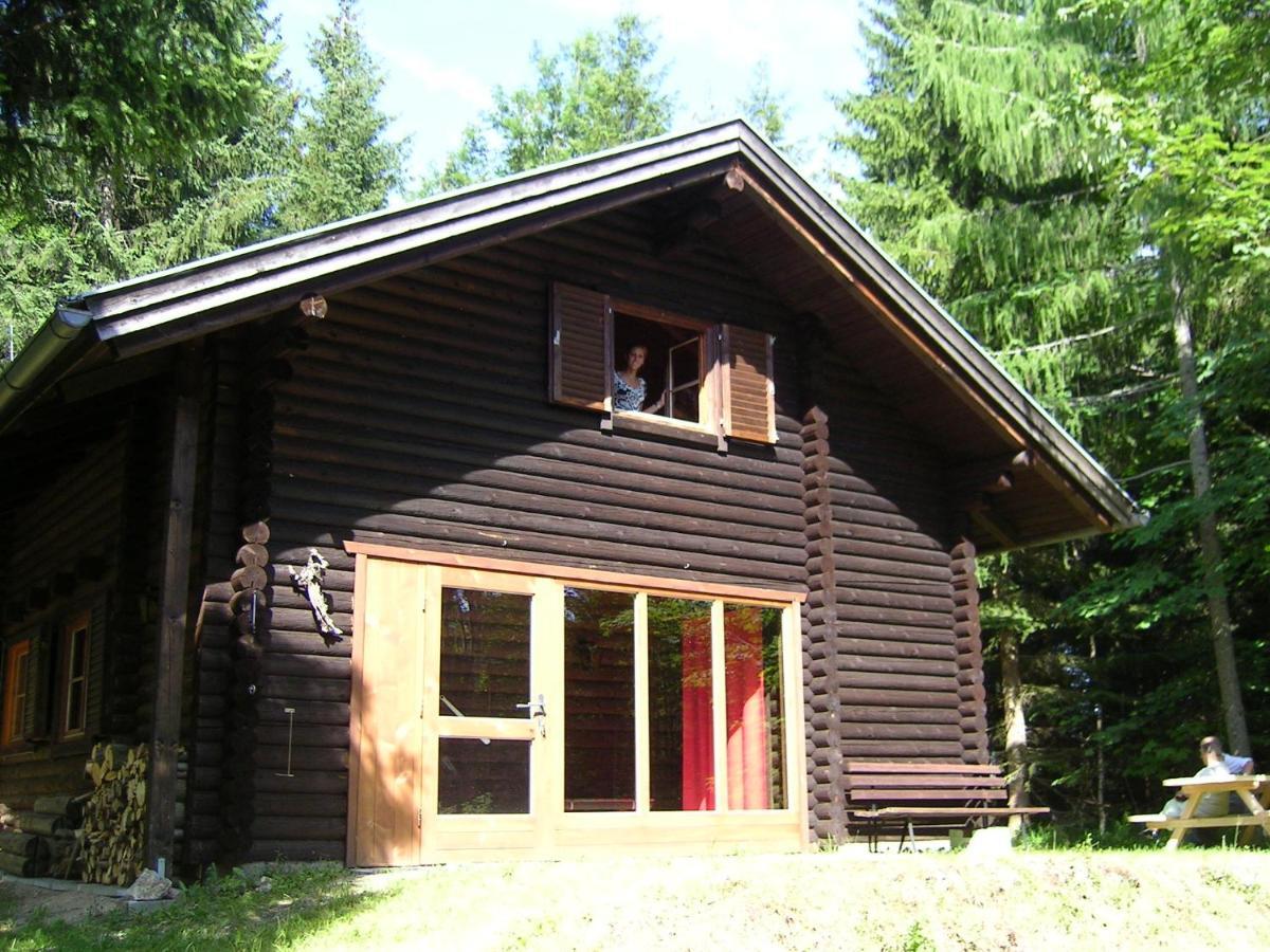 Villa Ferienhütte Hochalm Lunz am See Exterior foto