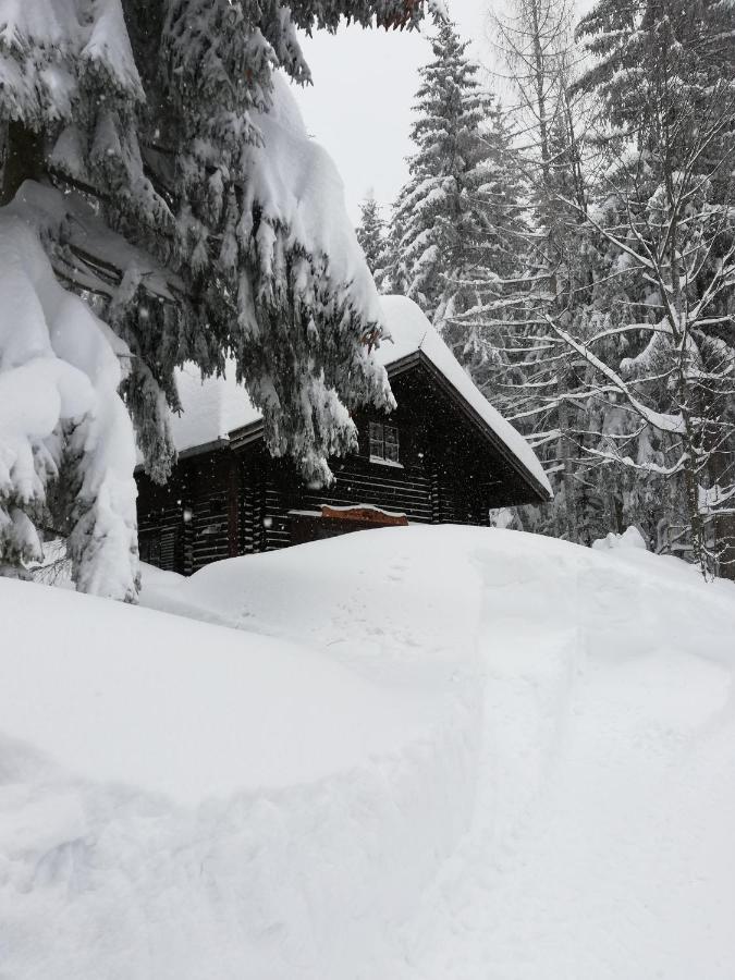 Villa Ferienhütte Hochalm Lunz am See Exterior foto